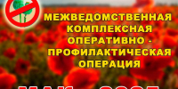 С 8 по 17 сентября 2025 года на территории Балтайского муниципального района пройдет третий этап межведомственной комплексной оперативно-профилактической операции «Мак-2025» - Балтайский район